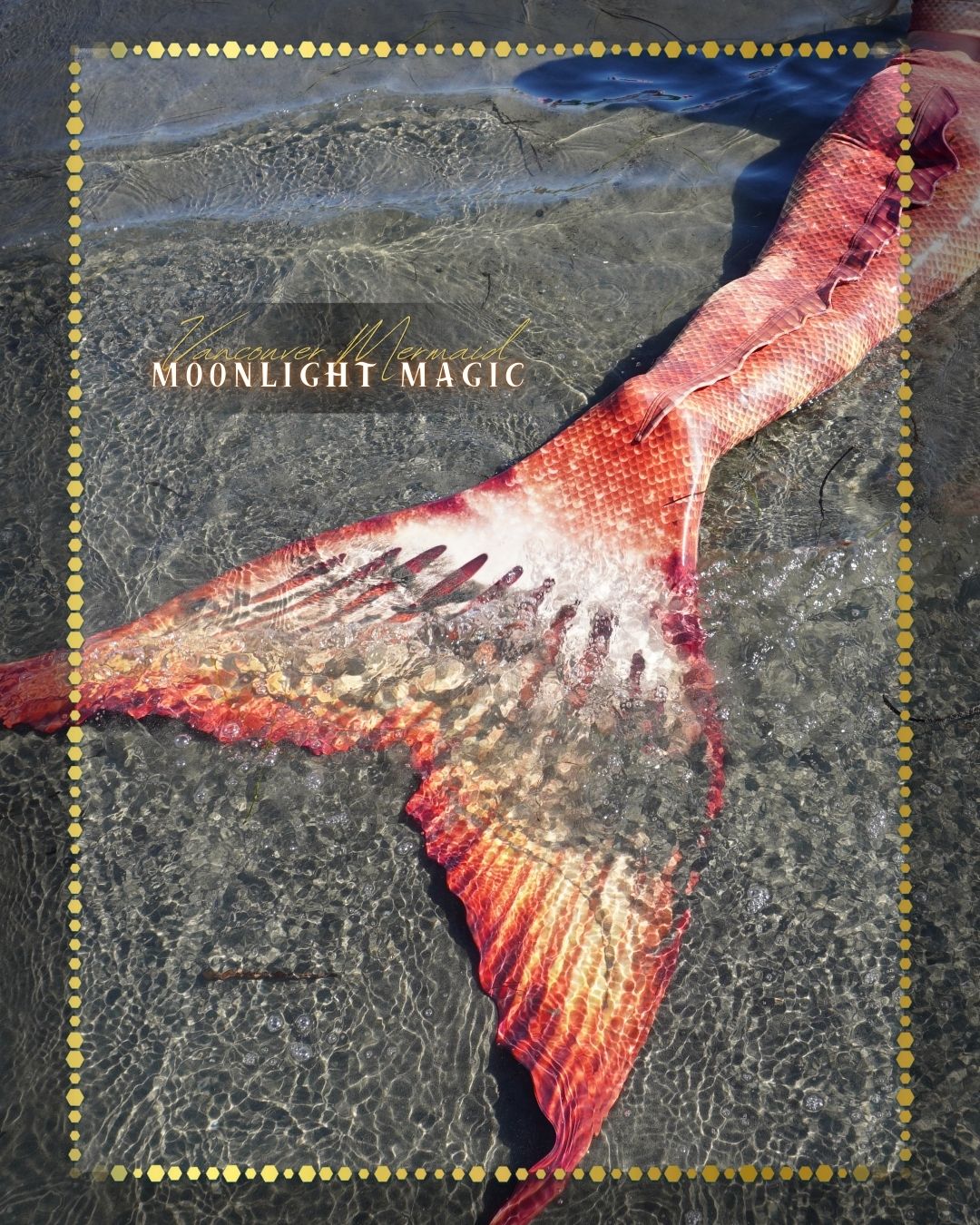 Moonlight Magic Mermaid Tail